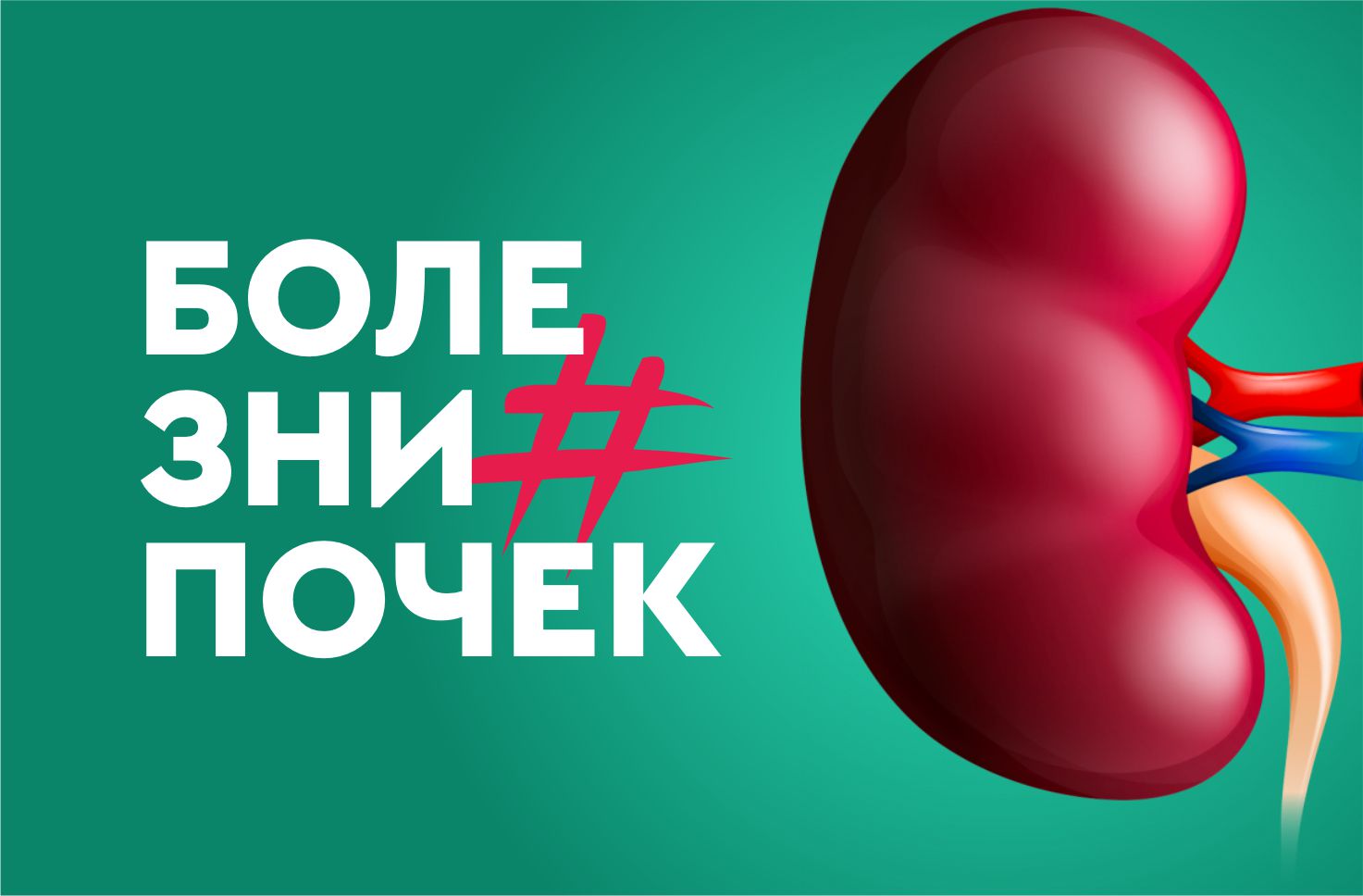 Болезни почек, симптомы которых надо знать